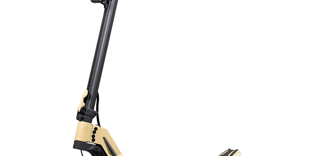 Dual motor professional electric scooter for adults